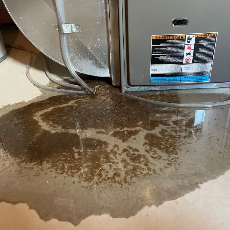 Pipe Burst and Leak Restoration in Ruckersville, VA